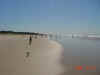 2003-08-13aust04.JPG (21687 bytes)