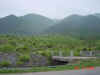 2002-05-23walk10.JPG (50180 bytes)