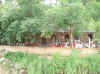 2007-06-01mp04.jpg (431612 bytes)