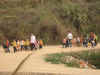 2008-03-12mp02.JPG (318861 bytes)