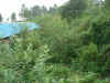 2008-08-10sun44.JPG (533635 bytes)